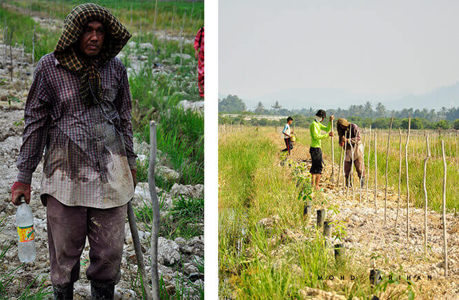 Terima Kasih Ayah ‘Abe’ Ucapkan